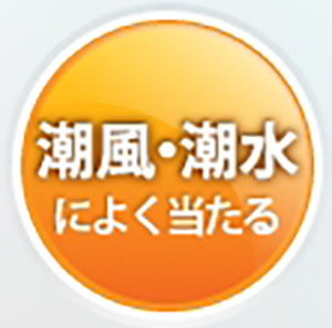 潮風・塩水によく当たる